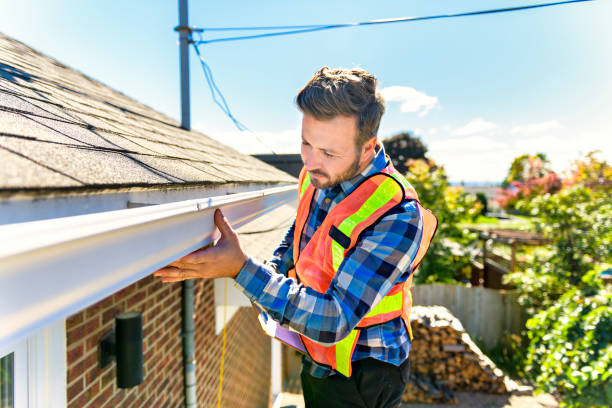 Best Roof Moss and Algae Removal  in Norfolk, VA